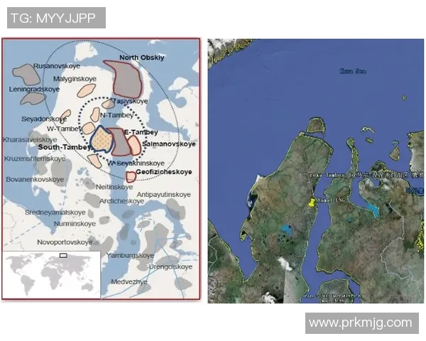 专业解析：液化天然气行业的市场攻势与战略布局探讨